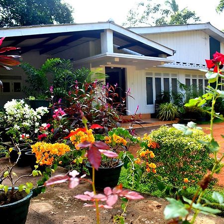 Molino Tourist Rest Anuradhapura Hotel Eksteriør billede