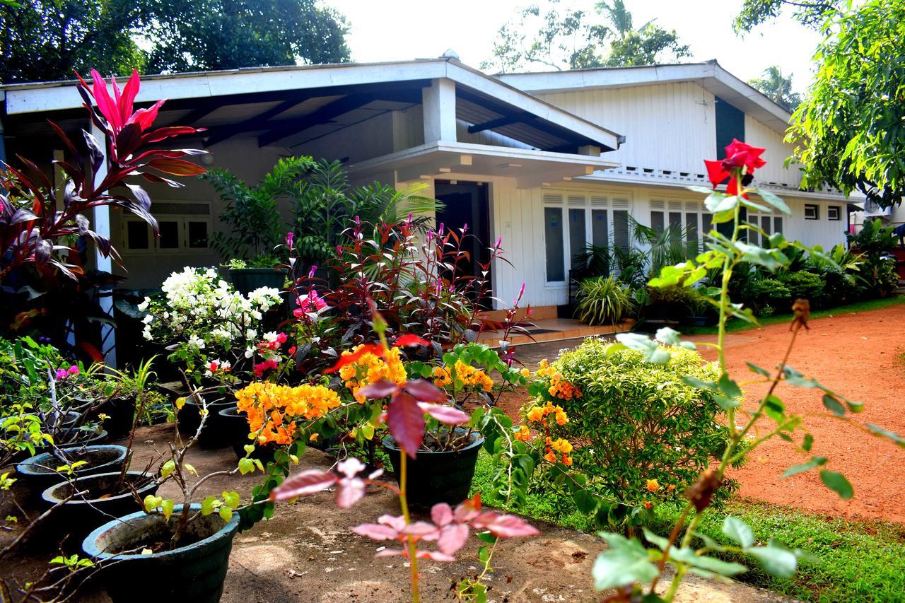 Molino Tourist Rest Anuradhapura Hotel Eksteriør billede